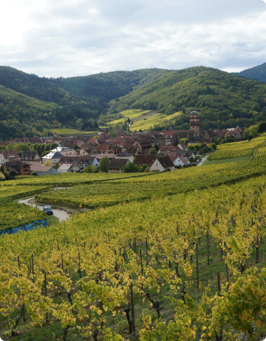 Paysage de campagne alsacienne